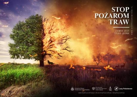 Lasy Państwowe partnerem kampanii społecznej "Stop pożarom traw"